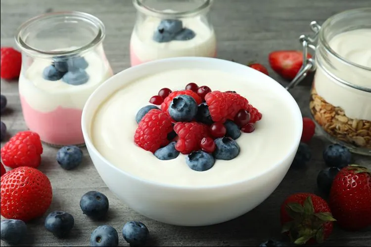 Yogurt bowl with berries — fermented dairy supports gut microbiome health alongside Akkermansia-boosting polyphenol foods