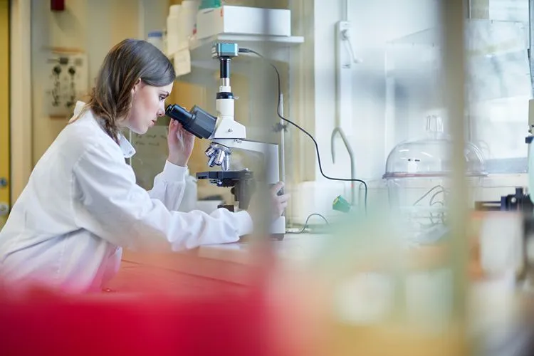 Scientist examining samples in a laboratory — Akkermansia muciniphila research has accelerated dramatically since 2010